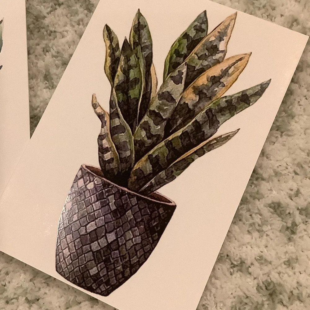 Green Plants Watercolor Variety Note Cards Set of Six NWT 4.25x5.5” - Picture 11 of 13